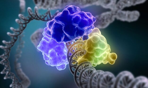 DNK – veliki dirigent orkestra zvani život