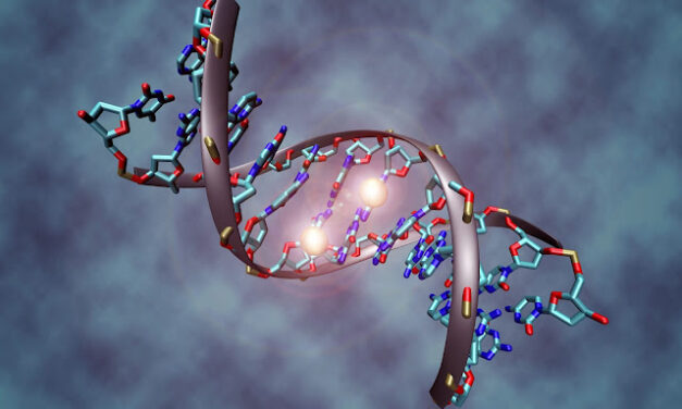 Epigenetika: kontrola aktivnosti gena