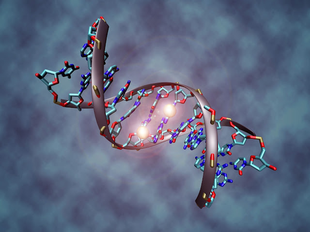 Epigenetika: kontrola aktivnosti gena