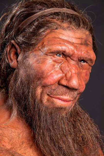 Imunitet dugujemo neandertalcima (i denisovijancima)