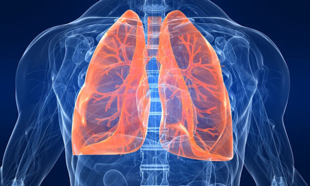 Pluća su hematopoetski organ