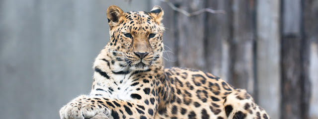 Važnost modernih zoo-vrtova u konzervacijskoj biologiji