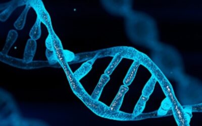 Šta znači skraćenica DNK (DNA)?