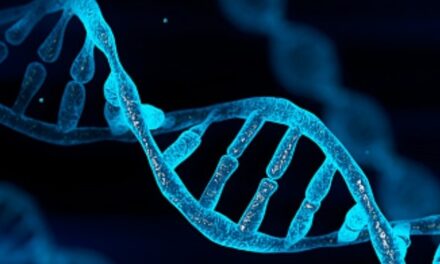 Šta znači skraćenica DNK (DNA)?