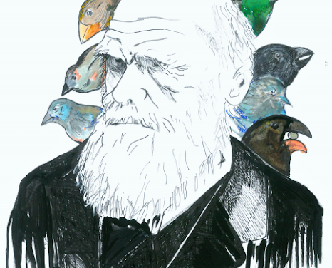 Evolucija u udžbenicima