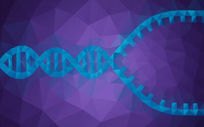 PCR: boldiranje DNK