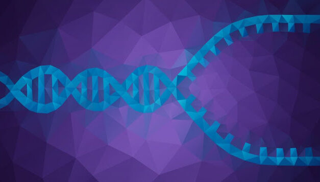PCR: boldiranje DNK