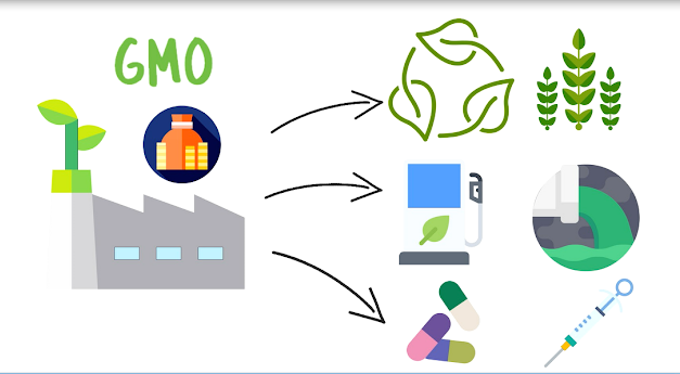 Biotehnologija