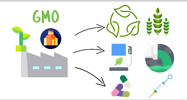 Biotehnologija