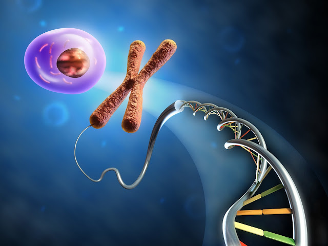 Alternativni splajsing (splicing): kako 100 000 proteina od 20 000 gena?
