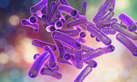 Kako djeluju antibiotici (i zašto ne djeluju na viruse)