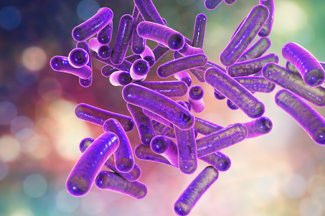 Kako djeluju antibiotici (i zašto ne djeluju na viruse)