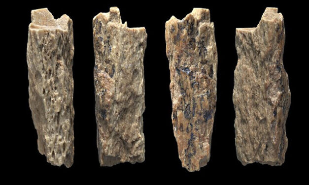 Denny: hibrid dvije izumrle grupe hominina