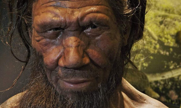 Neandertalci: vrsta ili podvrsta naše vrste
