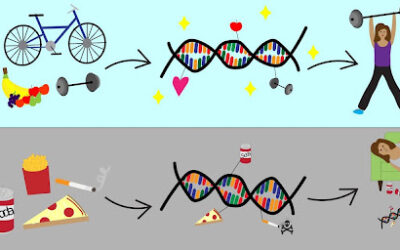 DNK nije sudbina: još o epigenetici