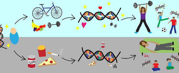 DNK nije sudbina: još o epigenetici