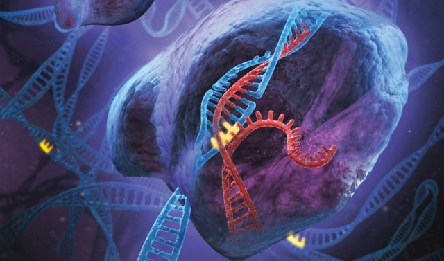 CRISPR: tehnologija editovanja genoma