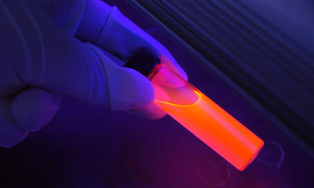 Do-It-Yourself biotehnologija