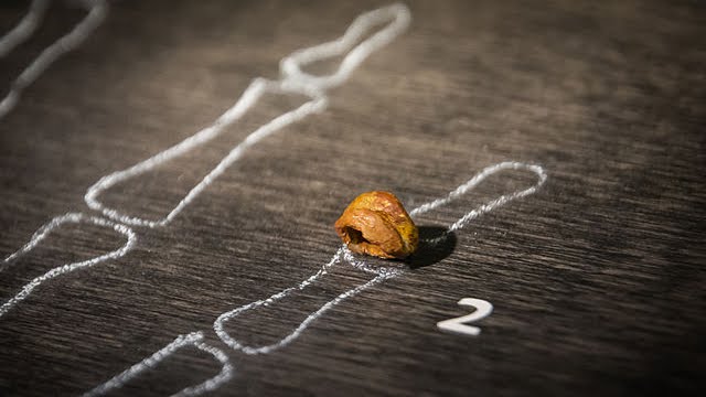 Pronađen fragment lobanje denisovca