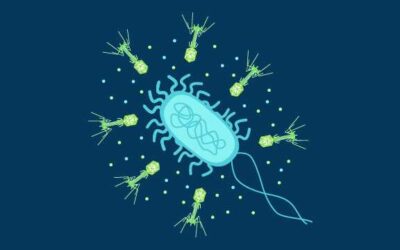 Bakteriofagi umjesto antibiotika?