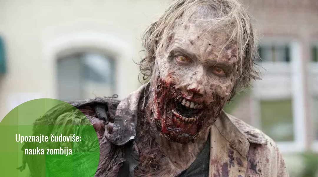Upoznajte čudovište: zombi