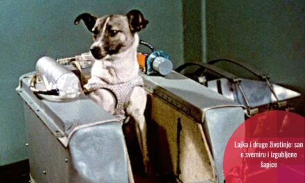 Prvi heroji svemirskih letova: životinje u svemiru