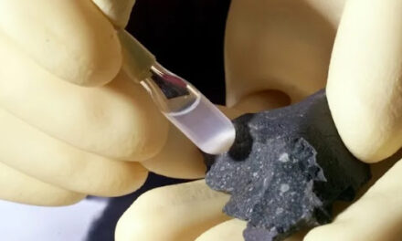 Naučnici pronašli šećer ribozu na meteoritima (ne, ne biste trebali lizati meteore)