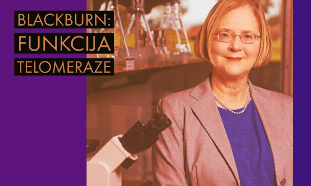 Elizabeth Blackburn: prelomno otkriće telomeraze