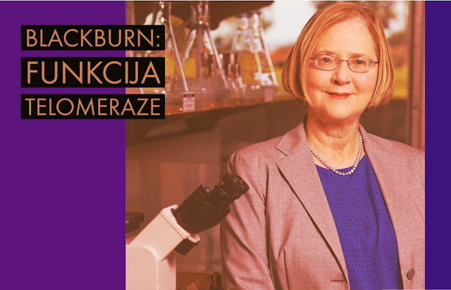 Elizabeth Blackburn: prelomno otkriće telomeraze