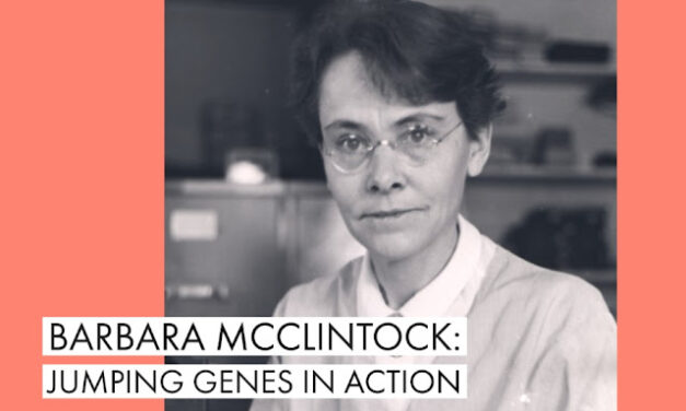 Barbara McClintock: “Jumping Genes”