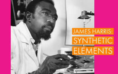 James Andrew Harris: new elements and fighting racial segregation