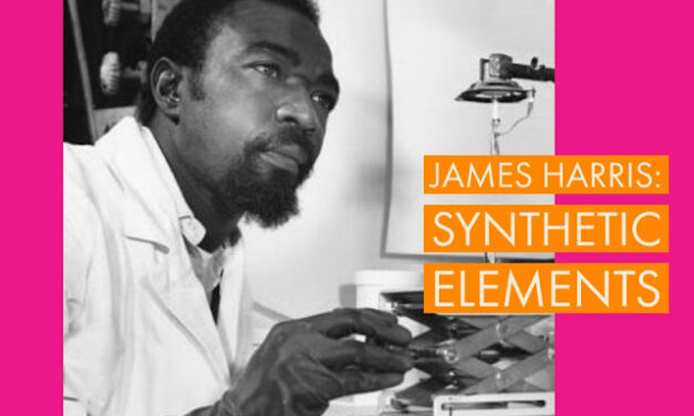 James Andrew Harris: new elements and fighting racial segregation