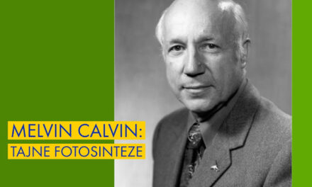 Dešifriranje fotosinteze: Melvin Calvin