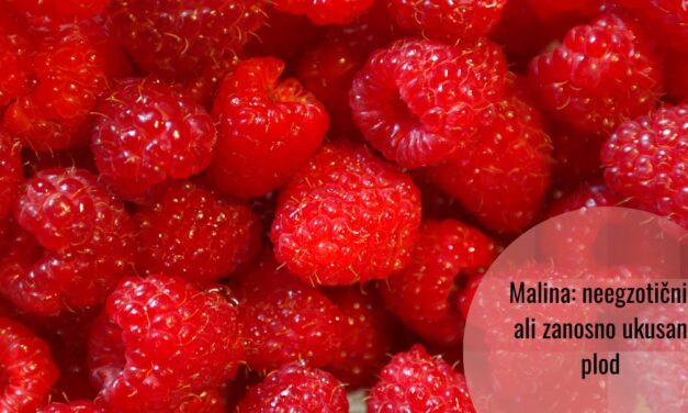Biohemija malina (i da li svemir miriše na maline)