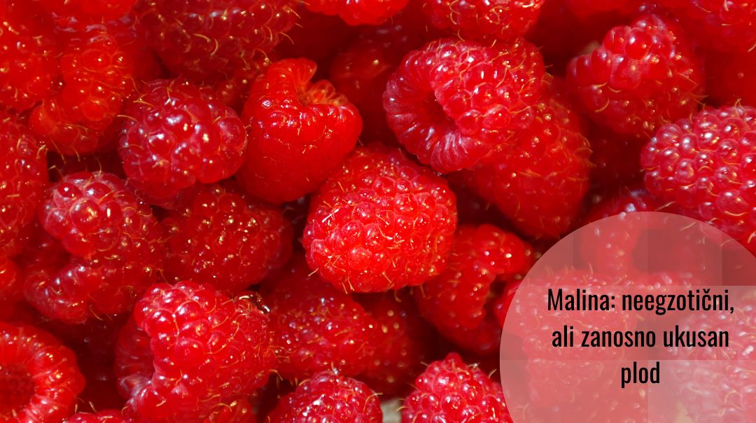 Biohemija malina (i da li svemir miriše na maline)