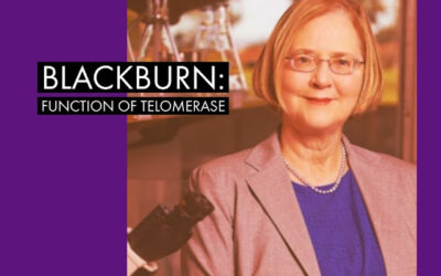 Elizabeth Blackburn: The Breakthrough Discovery of Telomerase