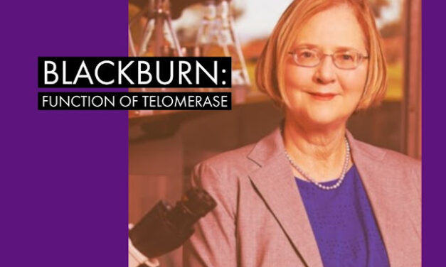 Elizabeth Blackburn: The Breakthrough Discovery of Telomerase