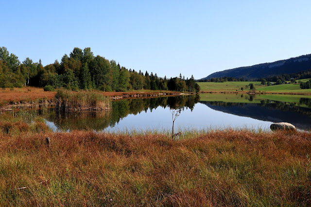 Obnavljanjem divljine do smanjenja posljedica klimatskih promjena
