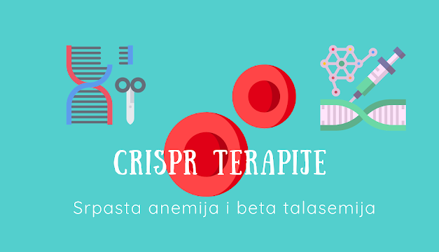 CRISPR terapije u liječenju bolesti krvi