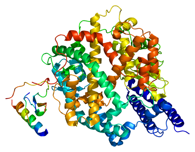 Šta normalno radi receptor ACE2, osim što kroz njega ulazi virus?