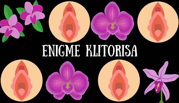 Klitoris: vrh ledenog brijega užitka