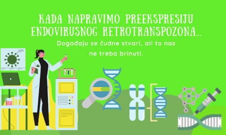 RNK virusa SARS-CoV-2 se može ugraditi u ljudsku DNK, ali samo pod vrlo rijetkim i specifičnim laboratorijskim uslovima