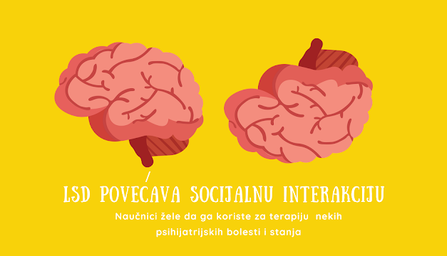 LSD povećava društvenost
