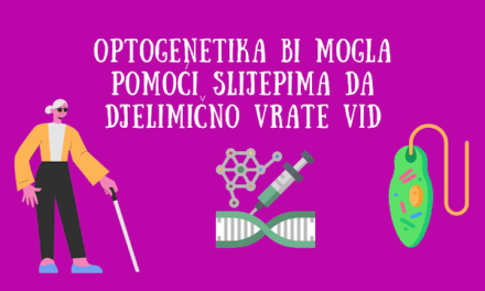 Optogenetika djelimično vratila vid slijepoj osobi