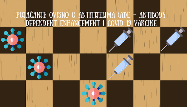 Da li vakcine protiv COVID-19 mogu pogoršati ovu bolest ako vakcinisana osoba oboli? (HINT: ne)
