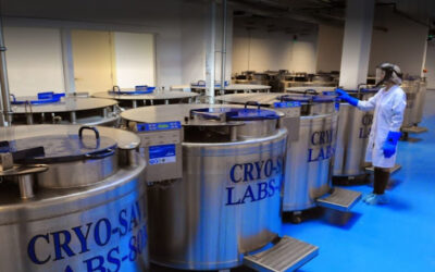 Cryo-Save u BiH: misterija nestalih matičnih stanica