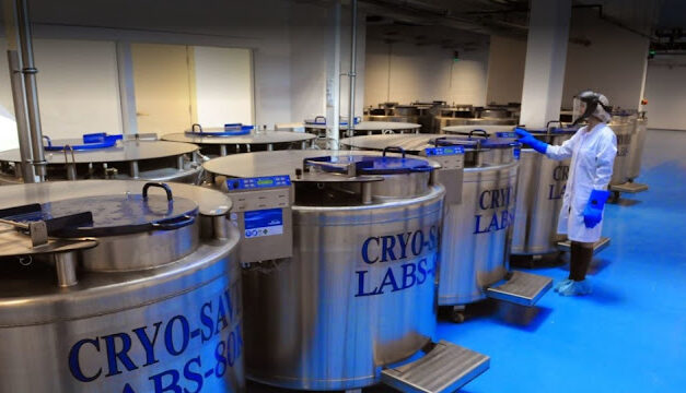 Cryo-Save u BiH: misterija nestalih matičnih stanica