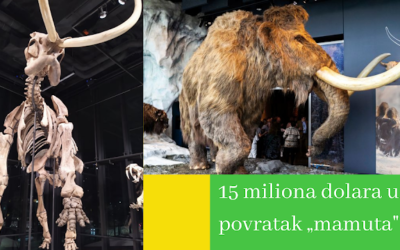 Naučnici i dalje pokušavaju „vratiti” mamute