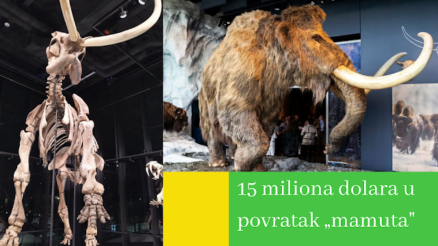 Naučnici i dalje pokušavaju „vratiti” mamute