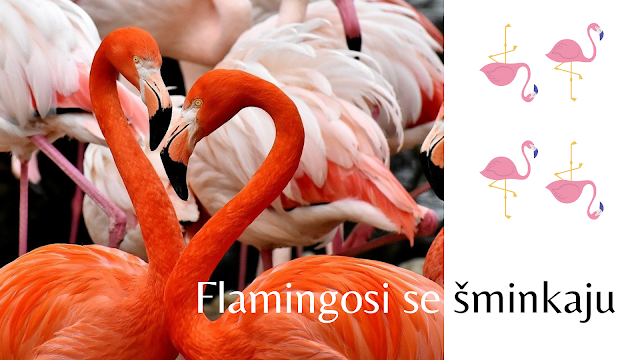 Flamingosi koriste make-up